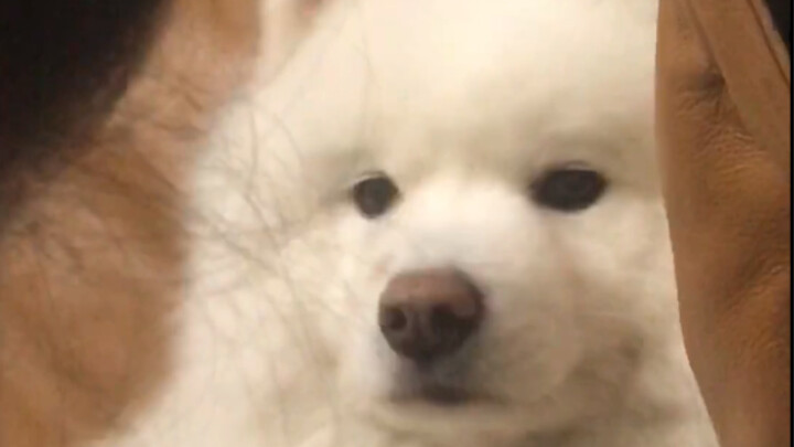 你到底是有多嫌弃我呢？