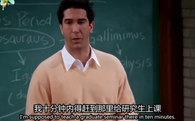 老友记最精华的部分就是笑点槽点不断