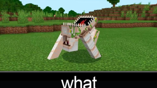 Minecraft wait what