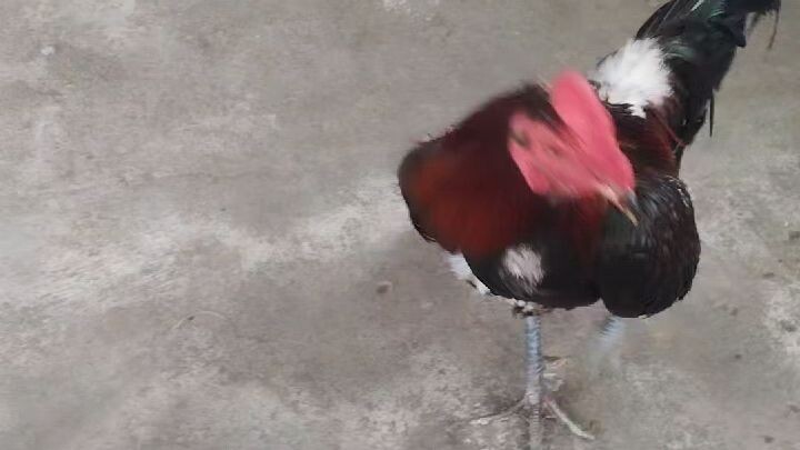 pangit mn s paningin nakakapuwing dn.