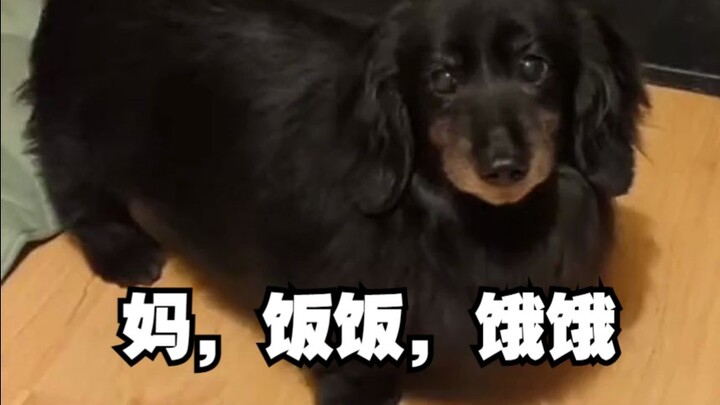 妈妈，宝宝已经五分钟没吃饭了~