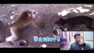 When Yaoyang watches his own parody video