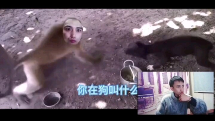 เมื่อยาวยางดูวิดีโอล้อเล่นของตัวเอง