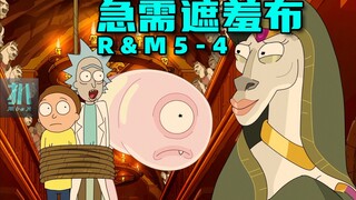 【扒】种马姥爷喜得贵子，小莫蝌蚪祸乱人间，急需遮羞布的《瑞克和莫蒂》5-4！
