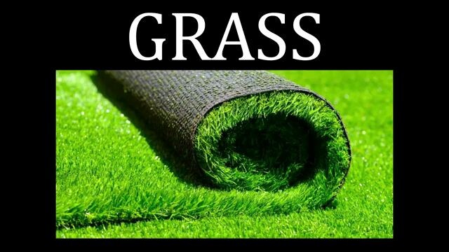 What is Grass?