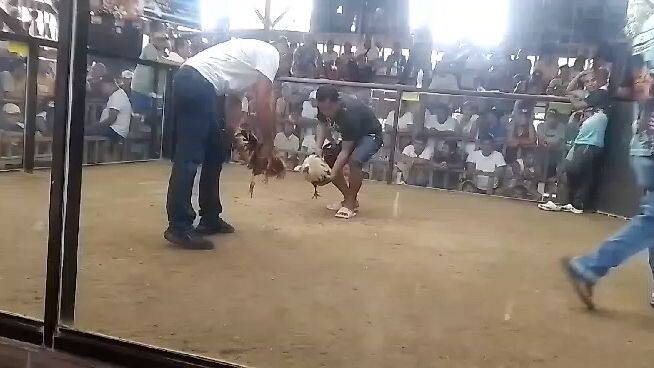 win grey unscratch Jan 4 2026 Lobo cockpit arena