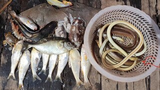 THƯỞNG THỨC BỮA CƠM TRÊN GHE VỚI MÓN CANH CHUA CÁ MỰC LỊCH CHIÊN