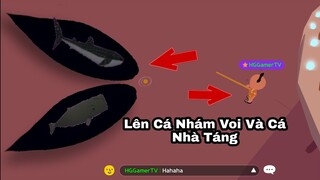 PLAY TOGETHER Địa Điểm Câu Cá Nhám Voi Và Cá Nhà Táng Ít Ai Biết HG Gamer