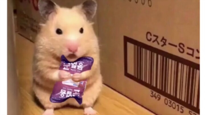 Es batu! Dingin banget!!!