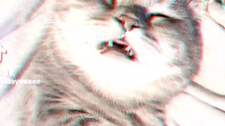 mewww