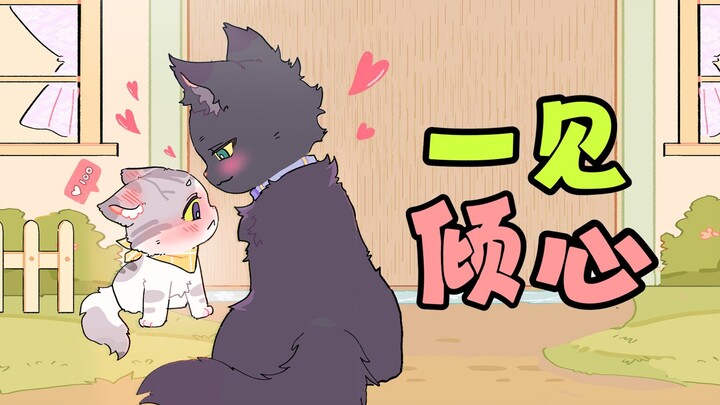 Kitten: I crushed the 185cm tall, dark-skinned, athletic guy from my neighbor’s house…