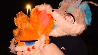 ？你们两个又抽什么疯？