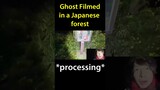 Ghost Filmed In a Japanese Forest