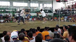 Zapote Cockpit 2Hits