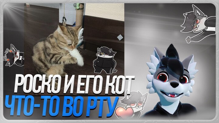 🐺 РОСКО СНОВА ПОКАЗЫВАЕТ МИСТЕРА ТИЛЬТА😺