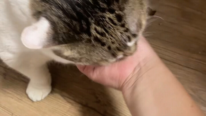 Membuatku kaget banget, kayaknya lagi ngalamin mimpi buruk—tiba-tiba bangun sambil teriak pas lagi t