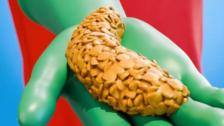 What are the effects of eating only corn?