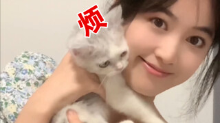 مدرسة مياو مياو النارية المقدسة