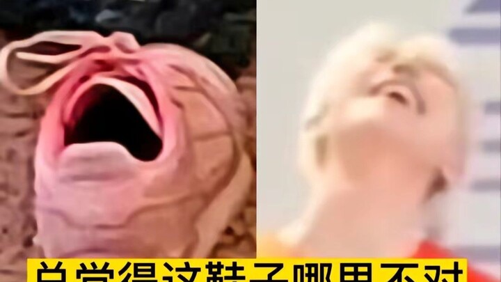 Vốn dĩ rất thích giày...