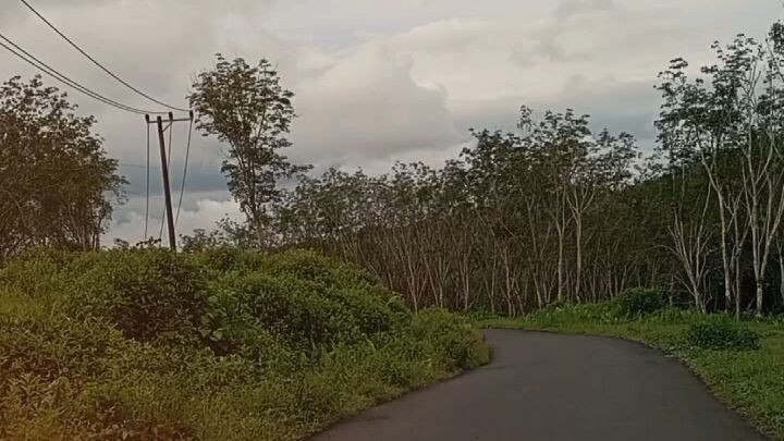 nikmat i dulu ntar juga jalan sendiri