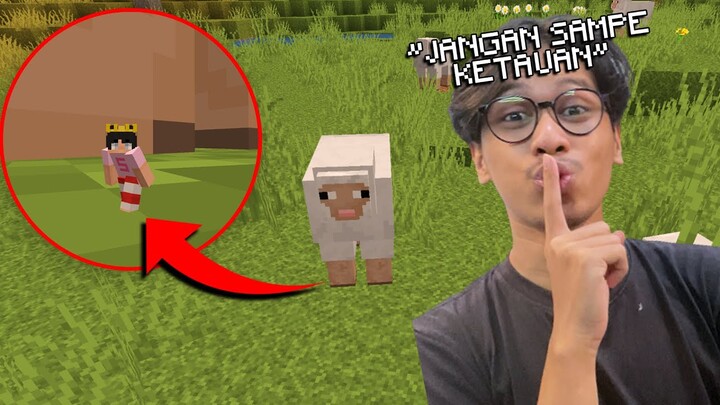 BERUBAH JADI SATU PIXEL UNTUK PRANK PARTNERKU @Alan Dinos SAMPE MARAH di Minecraft (DIA KENA MENTAL)