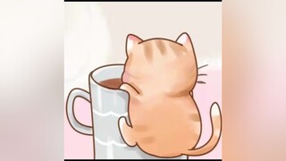 Cafe gì phê quá quá đi mèo cute foryou