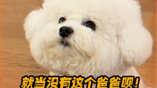 Why does this dog have two faces?