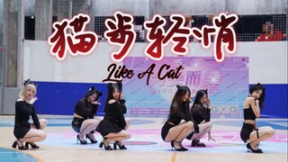 520 Valentine's Day Heart-beating Cats Online! AOA "Catwalk Quietly" High Heels and Long Legs Roadsh