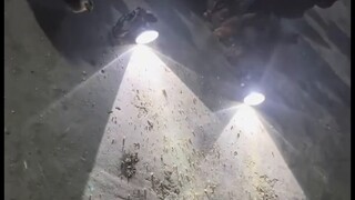 Don’t ascend! Run away! Ascension is a scam!!! (The Ant Tribe’s genius was tragically destroyed, and