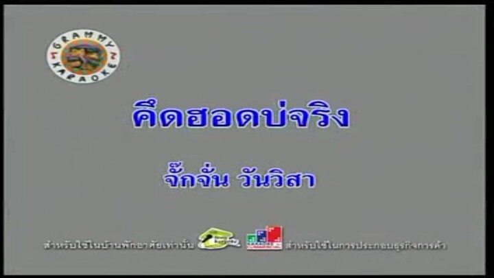 11.คึดฮอดบ่จริง (คาราโอเกะ) - จั๊กจั่น วันวิสา