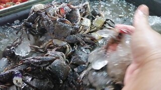 การเลื​อก​ซื้อ​ปูแสมดำ​จืด​ไว้​ดองเค็ม​และ​หอย​เชอร์รี่​ไว้​ตำ​ส้ม​ตำ​ป่า​
