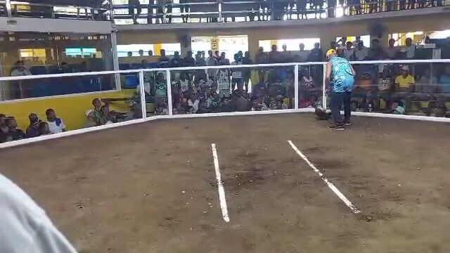 butaw ng boss yuan ko..#bulikbabalik