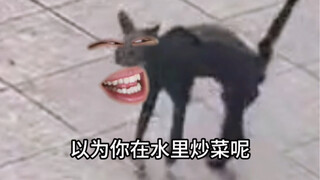 《水中炒菜》