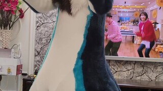 大概这就是"恋“吧