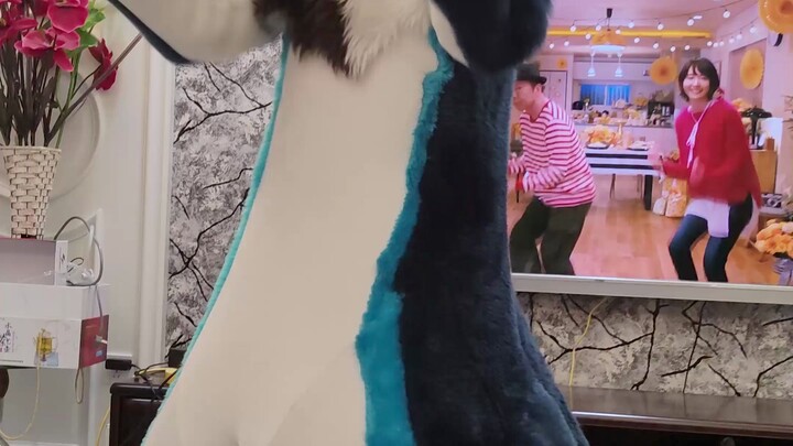 大概这就是"恋“吧