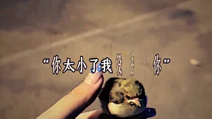 Genuine human emotions still exist in this world.