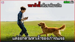 หมาตัวนี้กลับชาติมาเกิด แต่ออกตามหาเจ้านายเก่าจนเจอ | สปอยหนัง