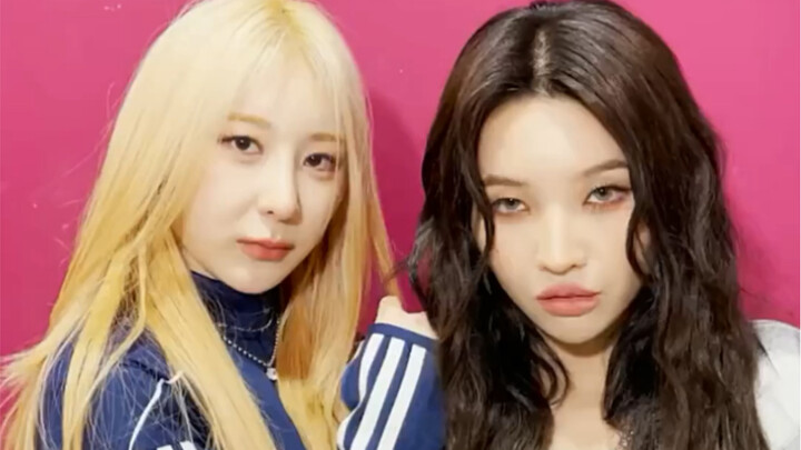 Liên động ACE (G)I-DLE 230520 Tiểu Quyên x Thái Diễn Thử thách "Queencard"