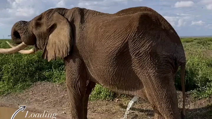 ผลิตเอง ขายเอง