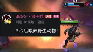 禁止投喂野生动物！
