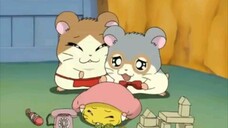 Hamtaro Episode 34 Watching Over Cute Penelope