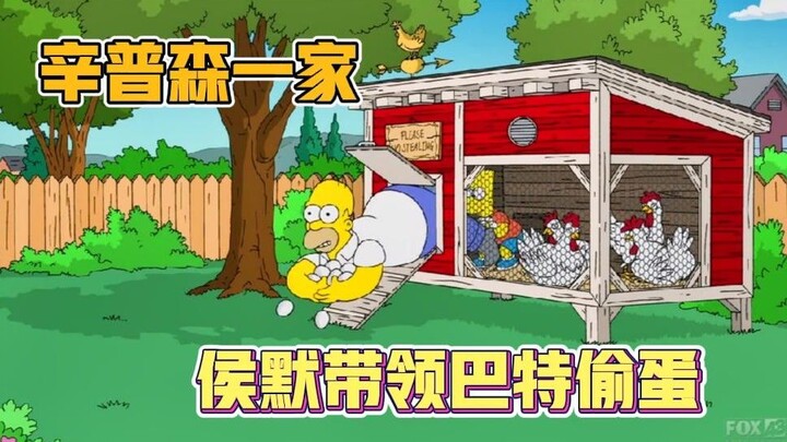 辛普森一家，白嫖鸡蛋实在太美味，侯默带领巴特偷蛋