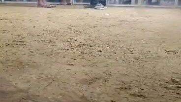 At triple's A Gallera Carcar.