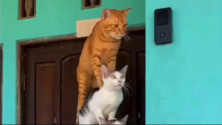 “Wait until you see what was waiting behind the door! ”