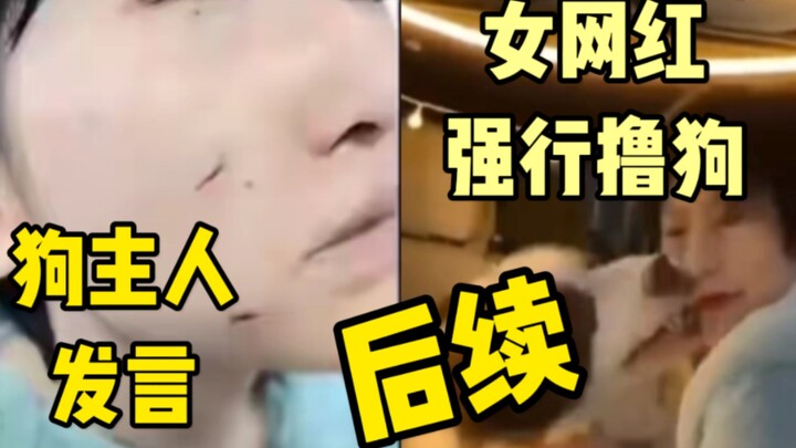 [Online Celebrity Forcefully Petting a Dog] Follow-Up! The Dog Owner Speaks Out! What Do Netizens Th