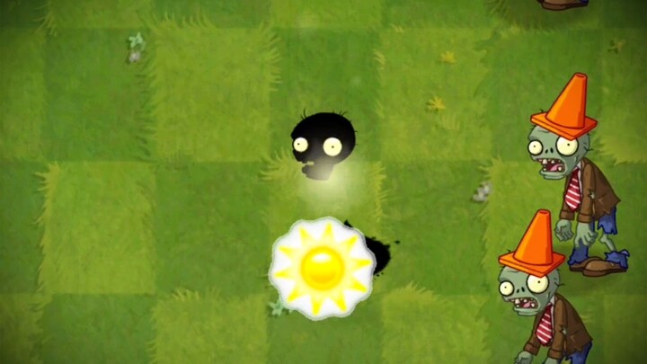 白卡真神：阳光豆