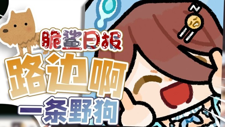 [Crispy Shark Daily] การโจมตีด้วยข้อความสีขาวราวกับสุนัขป่าริมถนน!