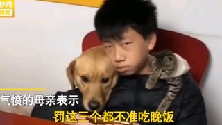 上小学的儿子经常和猫狗一起打游戏，母亲一气之下罚三个！