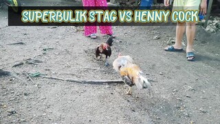 SPAR!                                  3rd Spar session!   6 months Super Bulik VS MCRAE HENNY 2 Y.O