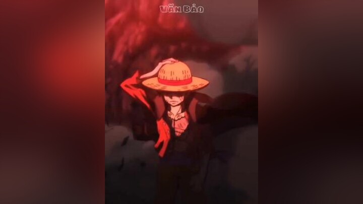 / em se khong o noi nay anh biet phai dan cho ai day / onepiece luffy anime fyp wallpaper xuhuong20